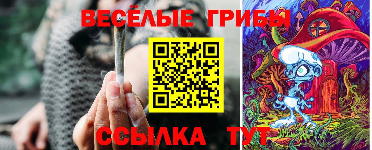 Псилоцибиновые грибы мухоморы  Вход с VPN  Магадан  купить  цена  Галлюциногенные грибы Psilocybe 
