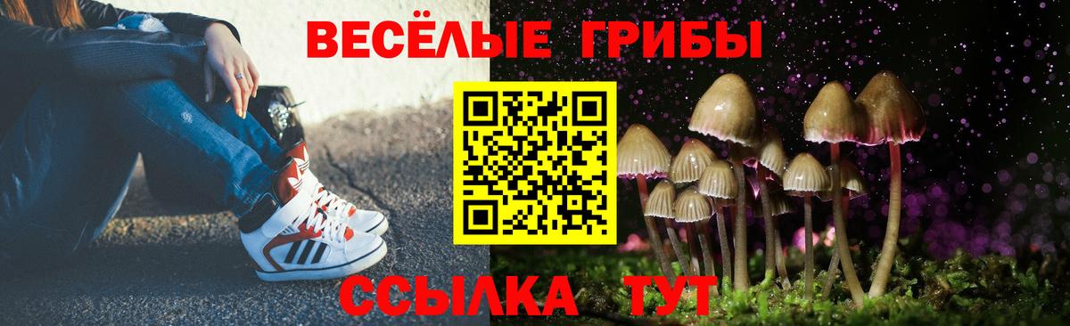 Псилоцибиновые грибы мухоморы Магадан